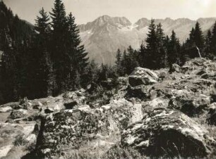Schweiz. Glarner Alpen, Göschener Tal (Nebental der Reuß)