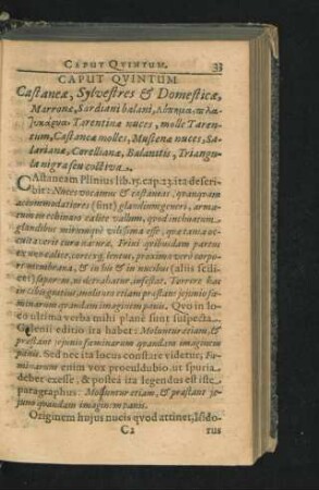 Caput Quintum. Castaneae, Sylvestres & Domesticae, marronae, Sardiani balani ...