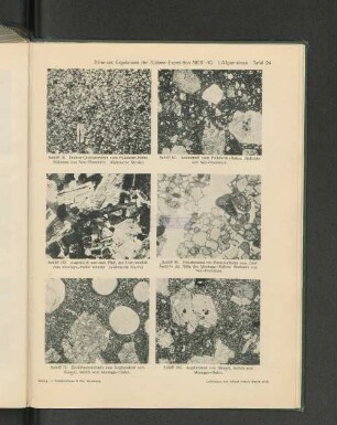 Thilenius, Ergebnisse der Südsee-Expedition 1908-10- I.Allgemeines. Tafel 24