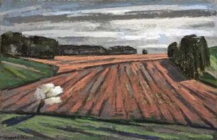 Blühender Kirschbaum vor rotem Feld