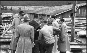 Neustadt: Sägewerk J. Himmelsbach, Journalisten bei der Führung