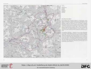 Stadt Bad Schwalbach