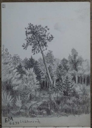 Berlin-Lichtenrade (Skizzenbuch Ernst Morgenstern, Bl. XIX)