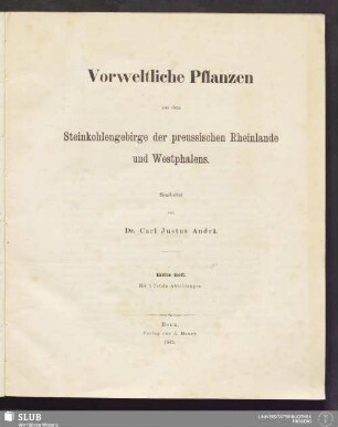 1: Vorweltliche Pflanzen aus dem Steinkohlengebirge der preussischen Rheinlande und Westphalens