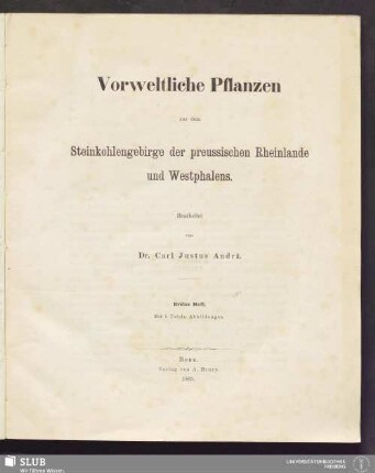 1: Vorweltliche Pflanzen aus dem Steinkohlengebirge der preussischen Rheinlande und Westphalens