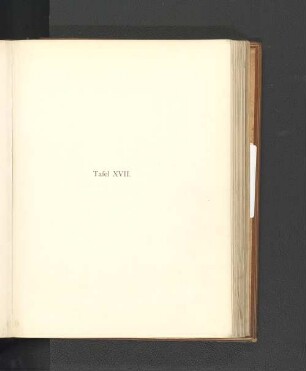 Tafel XVII.