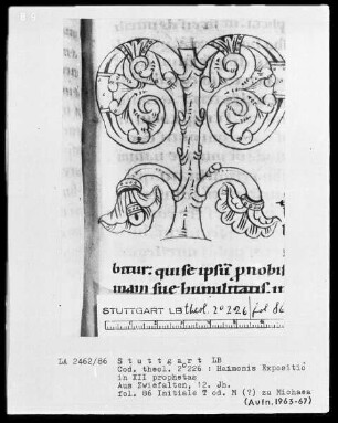 Haimonis enarratio in prophetas minores — Initiale T?, Folio 86recto