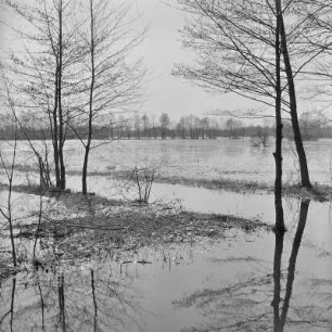 Landschaftsbild. Frühling im Spreewald. Die Wiesen sind überschwemmt. : Wobraz krajiny. Nalěćo w Błótach. Łuki su přepławjene.