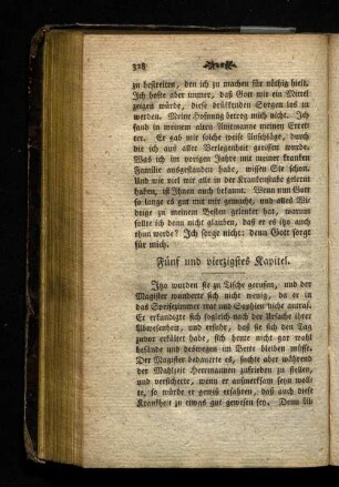 Fünf und vierzigstes Kapitel.