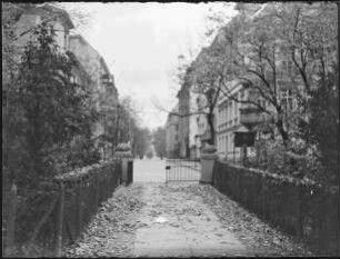 Blick aus dem Schustehruspark