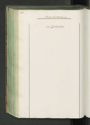 250 Zanthoxyleae.