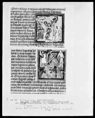 Avenares, Astrologische Handschrift — Buchseite mit Konstellationen der Sternbilder, Folio 17recto — Konstellationen der Sternbilder, Folio 17recto