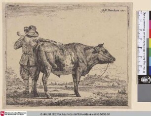 [Junger Hirte mit einem Bullen; Young Herdsman with a Bull]