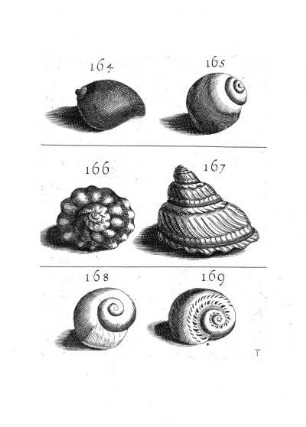 164. - 169.