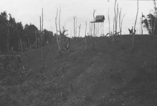 Reisfeld auf gerodetem Waldboden : Landschaft mit Reisfeld und Wächterhaus