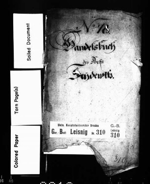 Gerichtshandelsbuch von Seidewitz