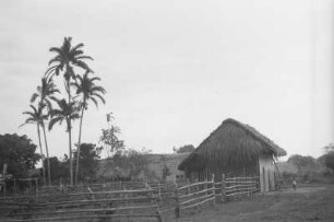 Bei San Martin (Lateinamerika-Aufenthalte 1934/1942 - 2. Kolumbien 1934-1937)