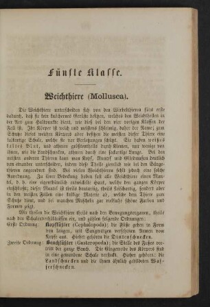 Fünfte Klasse. Weichthiere (Mollusca).