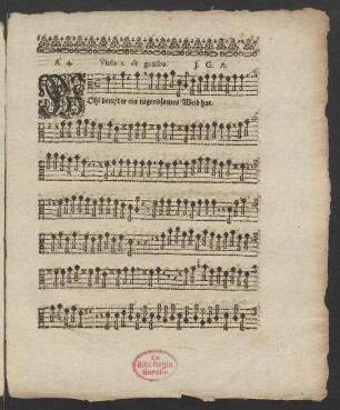 Viola 1. di gamba