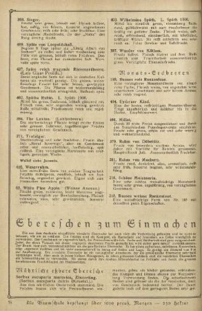 Ebereschen zum Einmachen