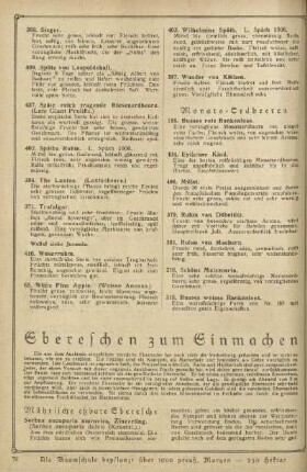 Ebereschen zum Einmachen