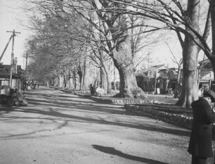 Kamakura Kaidō (Straße nach Kamakura) in Fuchū (Tokio) : Straßenbild
