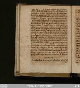 Aphor. VII. Bona tandem fortunae qui abstulerit alteri, ob damnum inde proveniens laeso adrestitutionem obligatur.