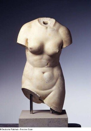 Aphrodite (Torso)