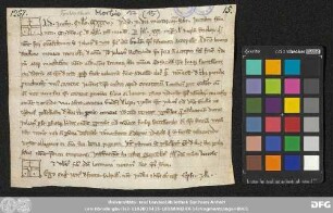 [Halle (Saale), Universitäts- und Landesbibliothek Sachsen-Anhalt, Morbio 17 (15)]