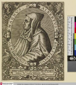 [Albertus Magnus, Graf von Bollstädt]