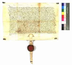 Hans Konrad von Hürnheim zu Wöllstein verleiht dem Gregor Pfeiffer aus Abtsgmünd (=Abhsgemind) ein dortiges Erbgut zu Lehen.