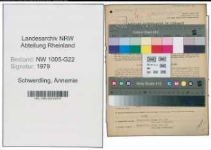 Entnazifizierung Annemie Schwerdling , geb. 04.05.1921 (Kaufmann)