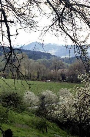 Freiburg i. Br.: Frühling an der Eichhalde