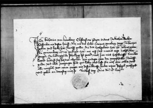 Katharina von Hornberg, Klosterfrau zu Kirchheim, quittiert über 12 fl. Leibgeding.
