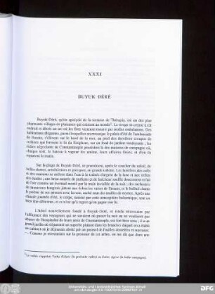 XXXI Buyuk Déré