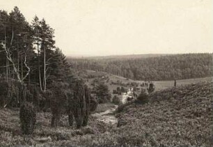 Lüneburger Heide. Totengrund