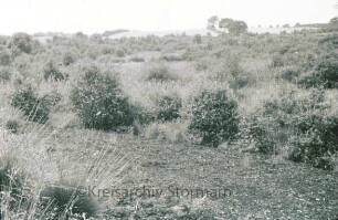 Nienwohlder Moor: Unberührtes Moorland