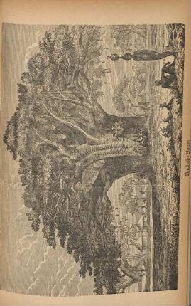 Baobab-Baum