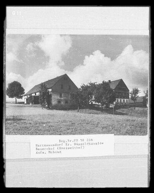 Hartmannsdorf, Bauernhof, Dreiseithof, Ansicht