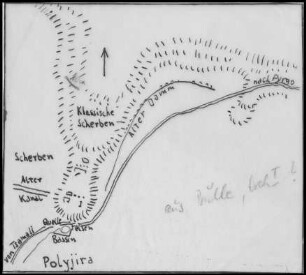 Polygyra