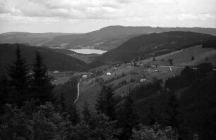 Fernblick auf den Titisee vom Bärental