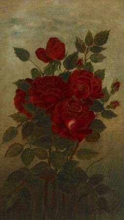 o.T. (Rote Rosen)