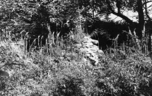 Höckendorf-Beerwalde. Beerwalder Talmühle, Mauerrest