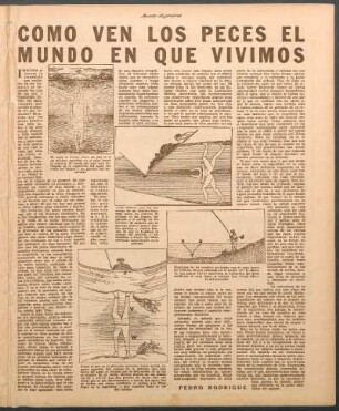 Como ven los peces el mundo en que vivimos