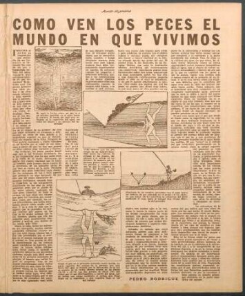 Como ven los peces el mundo en que vivimos