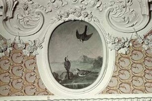 Bachstelzen