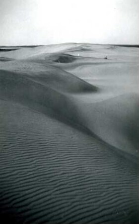 Sanddünen, Kurische Nehrung