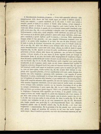 6. Ramificazione, lunghezza, grossezza e forma delle appendice piloriche