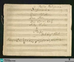 Symphonies - Don Mus.Ms. 2325 : G; KnaA 13