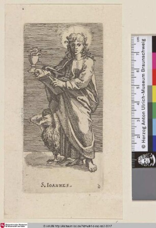 S. IOANNES.